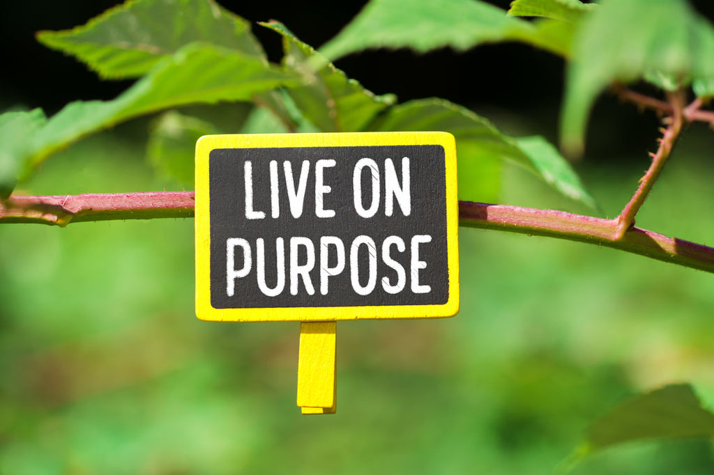 How A Sense Of Purpose Impacts Your Life